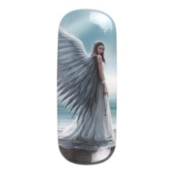 Spirit Guide Glasses Case...