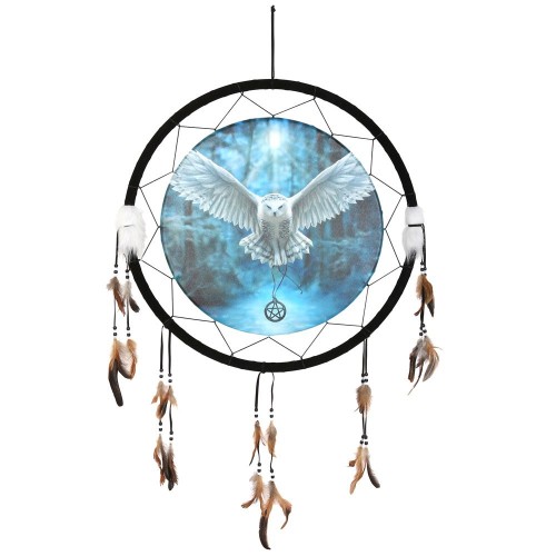 60 cm „Awaken Your Magic Dreamcatcher“ von Anne Stokes