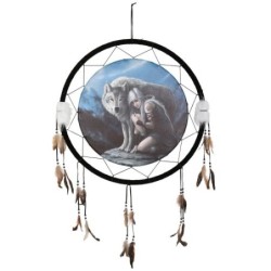 Atrapasueños protector de 60 cm de Anne Stokes