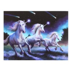 Placa de lienzo con estrellas fugaces de 25 x 19 cm de Anne Stokes