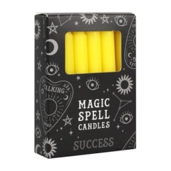 Set of 12 Yellow 'Success'...