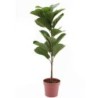 90cm Artificial Fiddle Leaf Plant