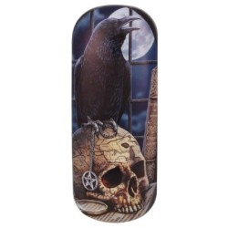 Salem Glasses Case By Lisa...