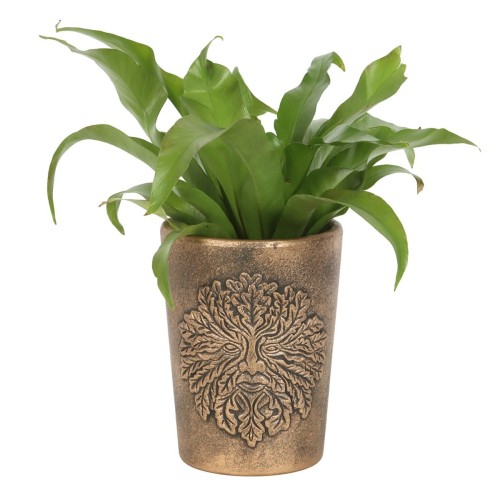 Green Man Bronze-Terrakotta-Blumentopf von Lisa Parker