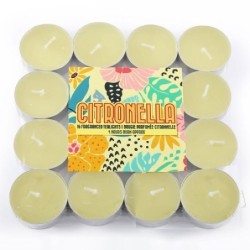 Set mit 16 Citronella-Teelichtern