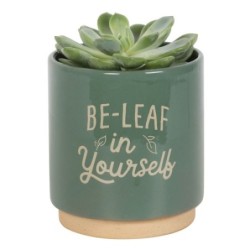 Green Be-Leaf in Yourself Plant Pot