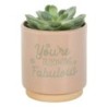 Cream Speckle Blooming Fabulous Plant Pot