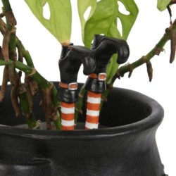 Set of 2 Witch Leg Plant...