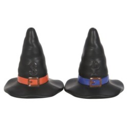 Witch Hat Salt And Pepper...