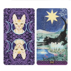 Cartas del Tarot de gatos paganos