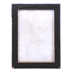 19 x 25 cm großes Air Element Wizard-Leinwandschild von Anne Stokes