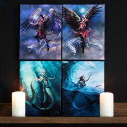 19 x 25 cm großes Air Element Wizard-Leinwandschild von Anne Stokes