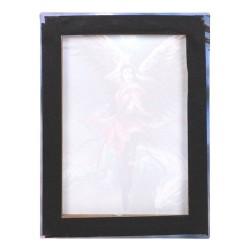 Placa de lienzo Hechicera del elemento aire de 19x25 cm de Anne Stokes