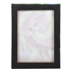 Placa de lienzo Hechicera del elemento tierra de 19x25 cm de Anne Stokes