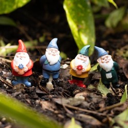 Juego de 4 mini amigos de macetas de gnomos