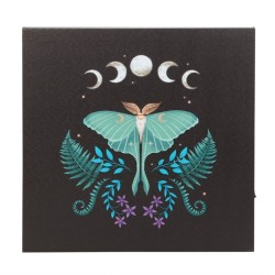 Leuchtende Leinwandtafel „Luna Moth“.