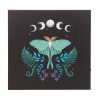 Placa de lona iluminada Luna Moth