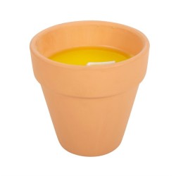 Vela de citronela jardinero del año