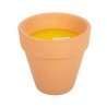 Gardener of the Year Citronella Candle