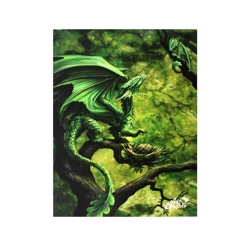 Placa de lienzo con dragón del bosque de 19x25 cm de Anne Stokes