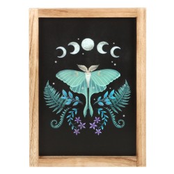 Luna Moth Wooden Framed...