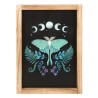 Arte de pared con marco de madera Luna Moth