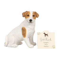 Jack Russell Terrier Dog...