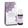 Goloka Duftöl „Französisches Lavendel“ 10 ml, Display mit 12 Flaschen