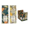 Pack of 10 Citrus Zest Tealights