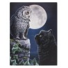 Placa de lienzo Purrfect Wisdom de 19x25 cm de Lisa Parker