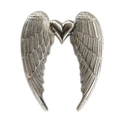 46x37cm Silver Wings with...