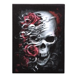 19 x 25 cm großes Leinwandschild „Skulls n Roses“ von Spiral Direct