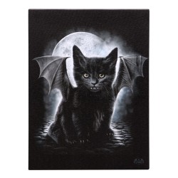 19 x 25 cm großes Leinwandschild mit Fledermaus- und Katzenmotiv von Spiral Direct