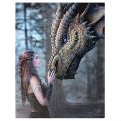 19 x 25 cm „Once Upon a Time“-Leinwandplakette von Anne Stokes