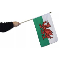 Welsh Red Dragon World Cup Rugby Cymru Wales Patriotic Hand Party Flag 12x18"