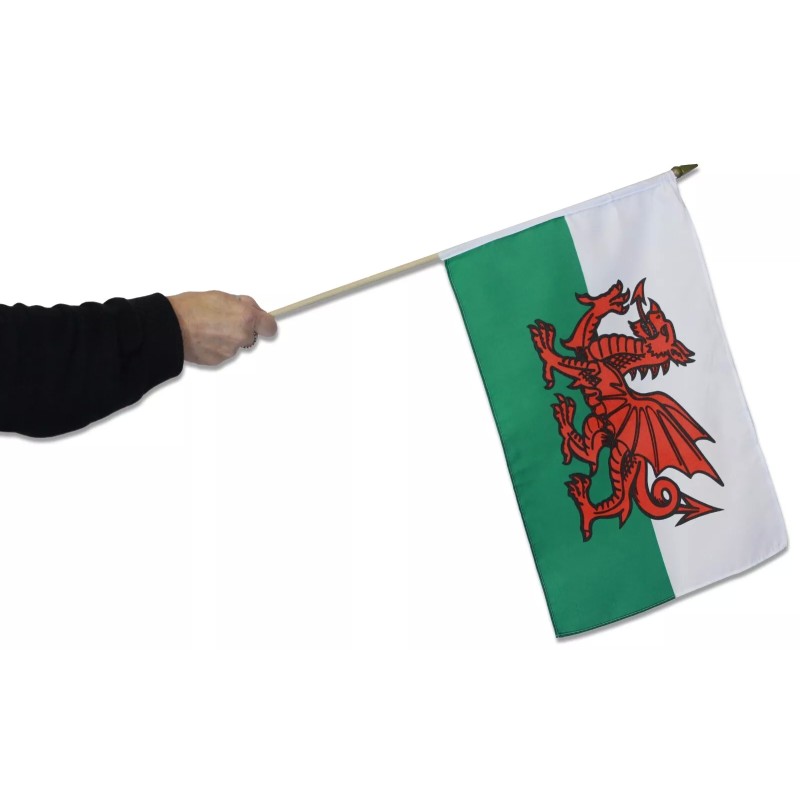 Welsh Red Dragon World Cup Rugby Cymru Wales Patriotic Hand Party Flag 12x18"