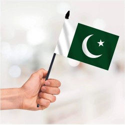 Pakistan Crescent Moon Star Green White Country Sports Independace Day Hand Flag