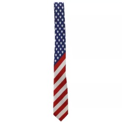 USA America Flag Blue Red White Satin Feel Fancy Dress 4th July Party Skinny Tie