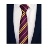 Purple Yellow Stripe Book Day Wizard Gryffindor School Fancy Dress Skinny Tie