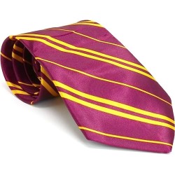 Purple Yellow Stripe Book Day Wizard Gryffindor School Fancy Dress WIDE Tie