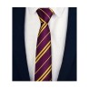 Purple Yellow Stripe Book Day Wizard Gryffindor School Fancy Dress WIDE Tie