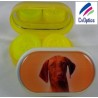 Custodia per lenti a contatto Pointer Furry Friends