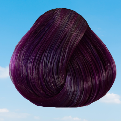 Tintura per capelli Plum Directions di La Riche