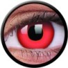 ColourVUE 1-Tages-Nutzung der farbigen Red Devil Block Halloween-Kontaktlinsen