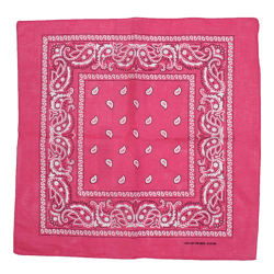 Foulard Bandana Paisley...