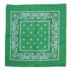 Foulard Bandana Paisley...