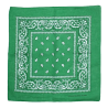 Jade Green Paisley Bandana Head Scarf