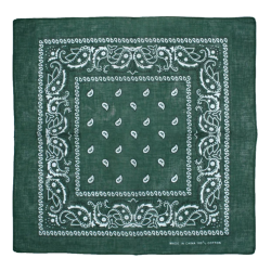 Foulard bandana vert...